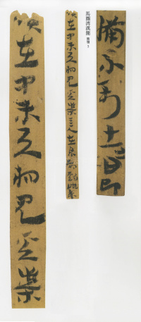 马圈湾汉简 - 第3页