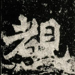 睹
