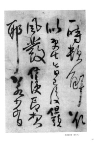 郑修容有事 - 第9页