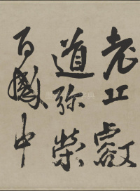 赠张抱一行书诗卷 - 第15页