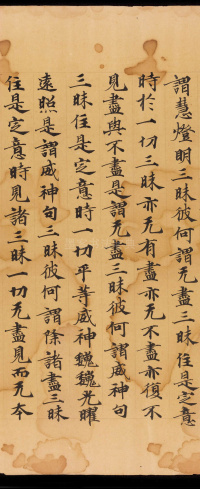 般若波罗蜜三昧品 - 第20页