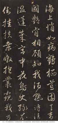 梅花诗 - 第11页