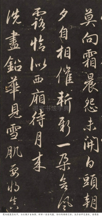 梅花诗 - 第5页