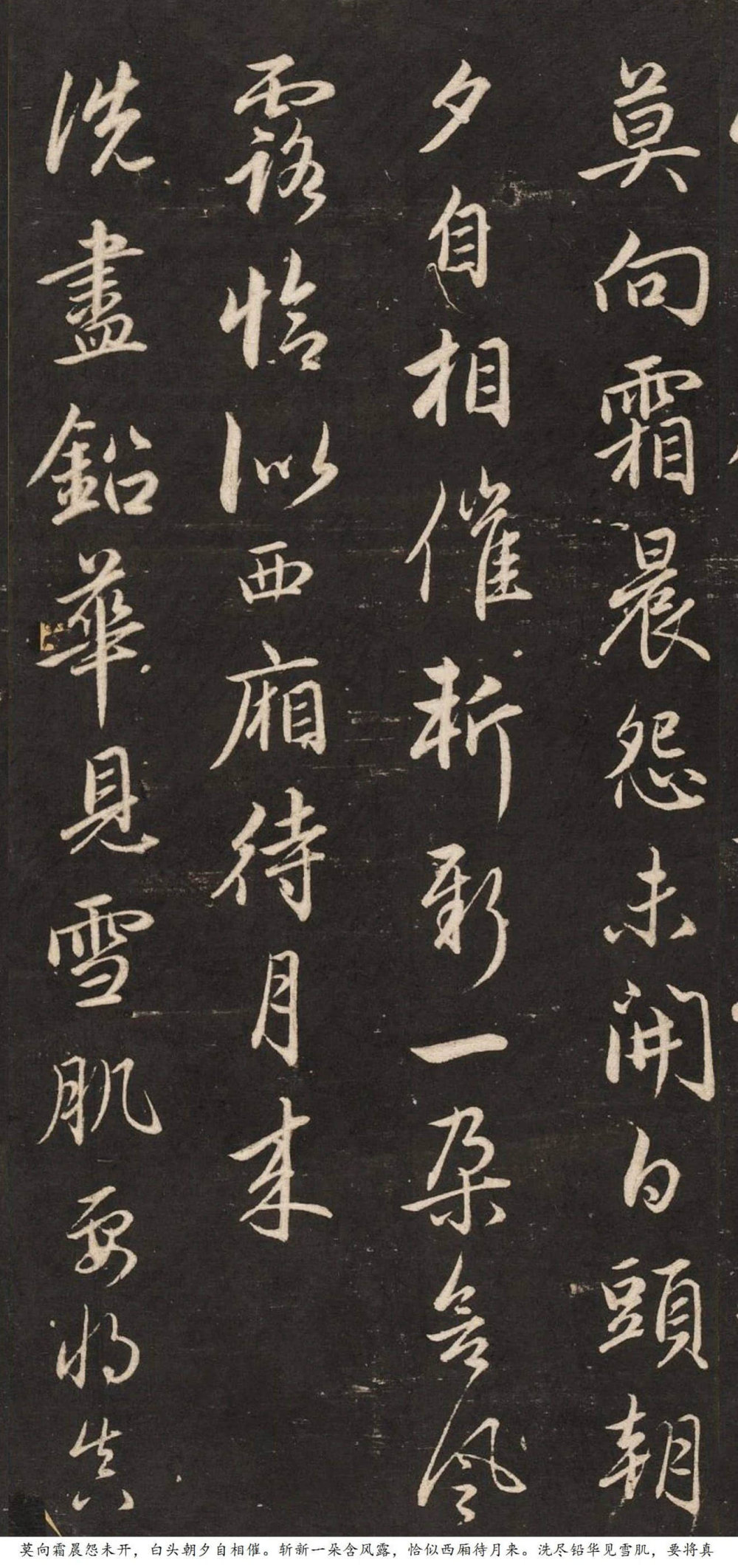 梅花诗 - 第5页