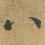 八