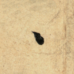 □