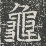 龟