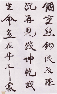 自书诗卷 - 第23页