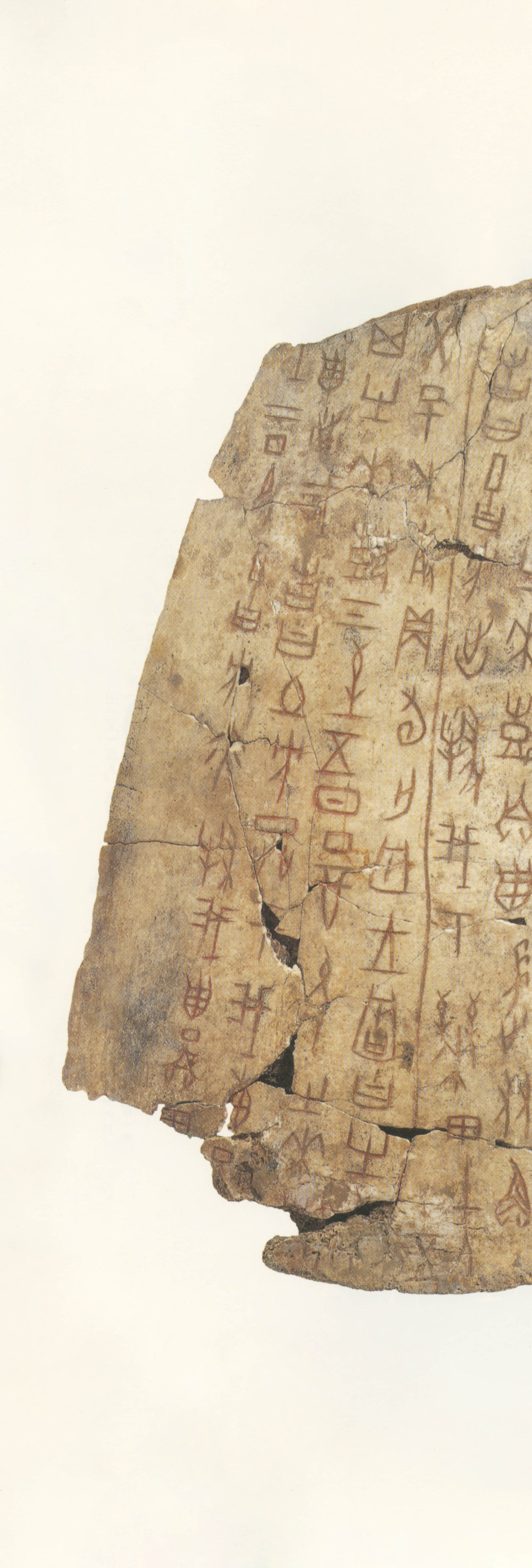 甲骨文2 - 第2页