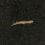 一