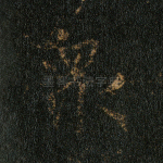 众