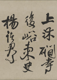 赠张抱一行书诗卷 - 第21页
