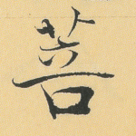 菩