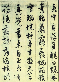杂花诗 - 第16页