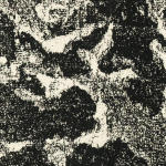 子