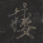 栖