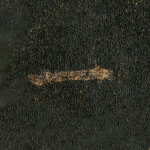 一