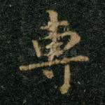 专