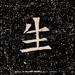 生
