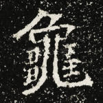 龟