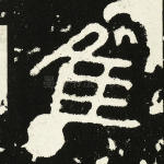 维