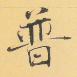 普