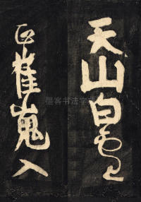裴将军诗 - 第8页