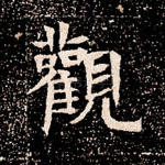 观