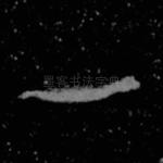 一