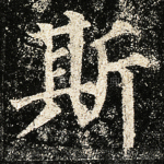 斯