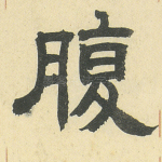 腹