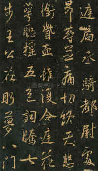 集王字兴福寺半截碑 - 第17页