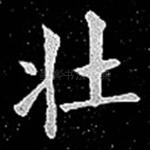 壮