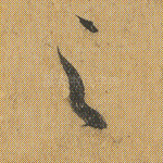 之