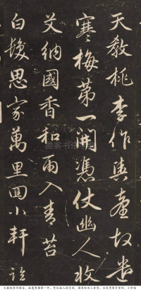 梅花诗 - 第2页