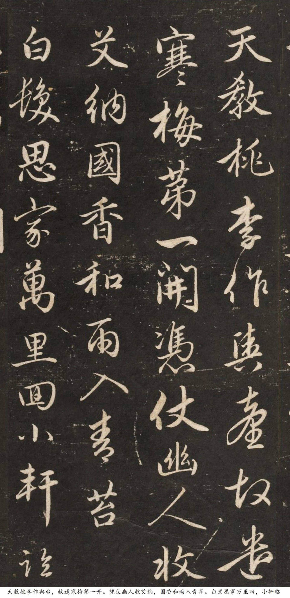 梅花诗 - 第2页