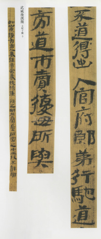 武威后汉简 - 第3页
