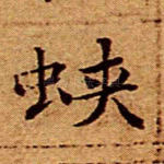 蛱