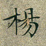 杨
