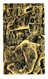 褒斜道刻石 - 第37页