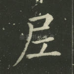 尼