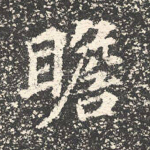 瞻