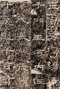 陶洛残碑 - 第7页