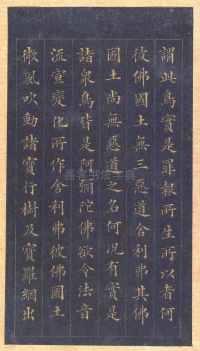 真书无量寿经册页 - 第11页