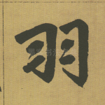 羽