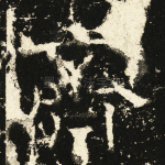 齐
