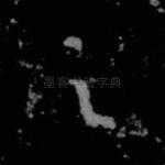 之