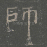 师