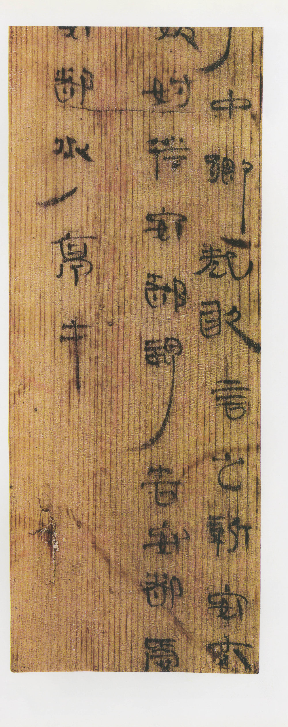 高台前汉简 - 第3页