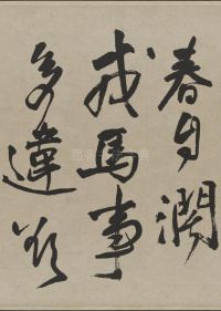 赠张抱一行书诗卷 - 第19页